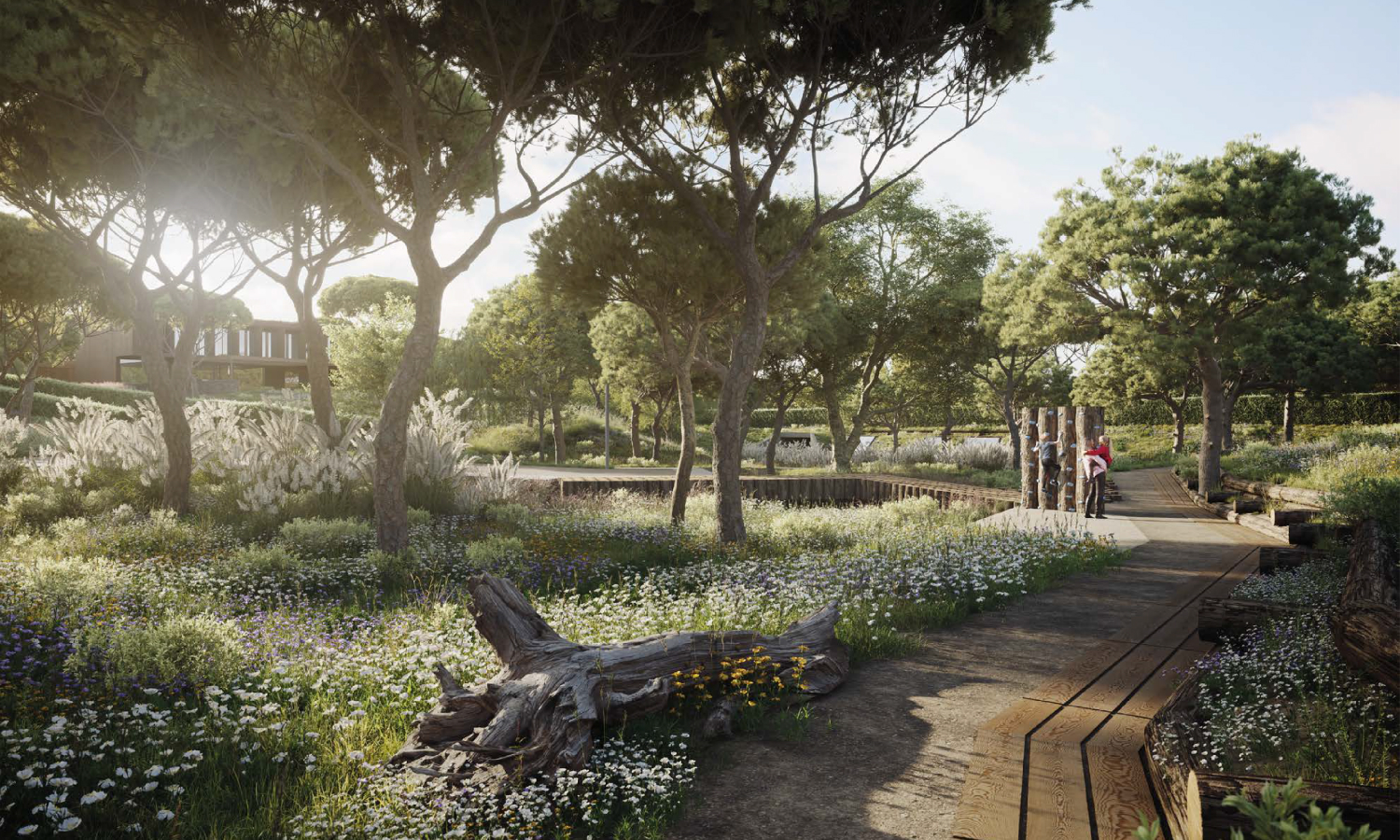 Arcaya nature boardwalk
